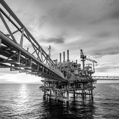 廣州石化與商檢局項目